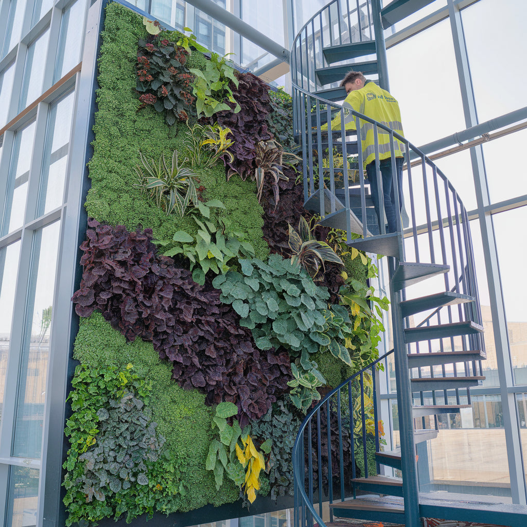 Living Green Wall Installation